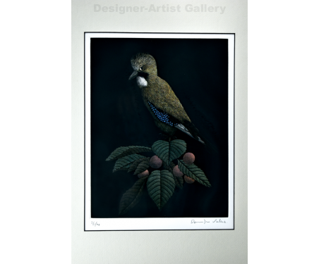 "King Fisher" Mezzotint - by Dominique Vallet